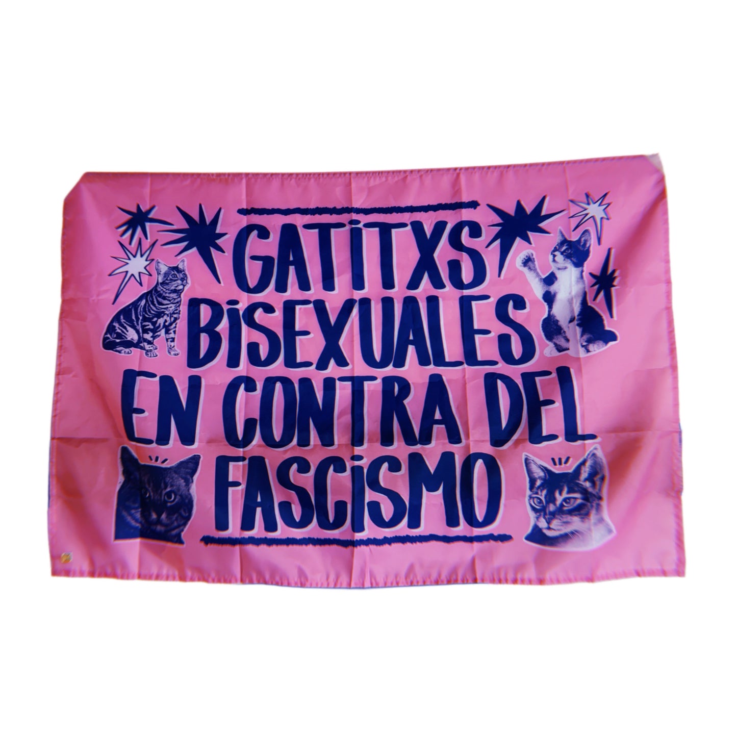 Bandera GATITXS BISEXUALES
