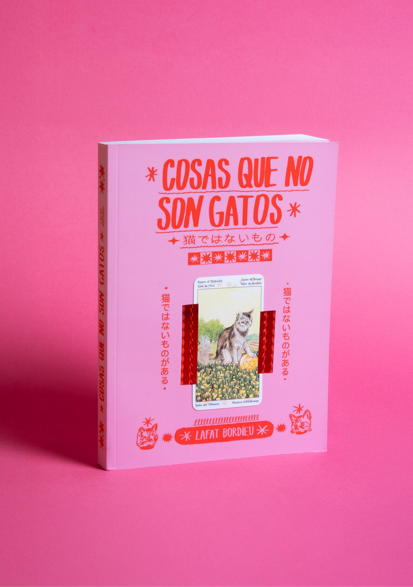 libro COSAS QUE NO SON GATOS