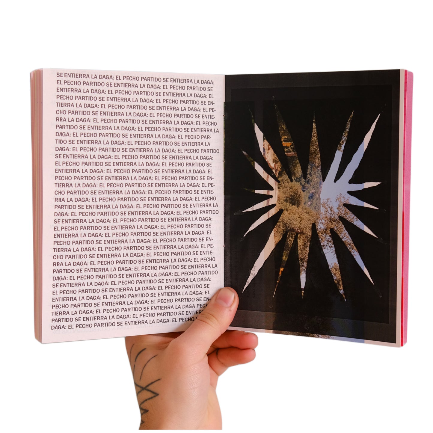 LIBRO tengo la enfermedad del delirio