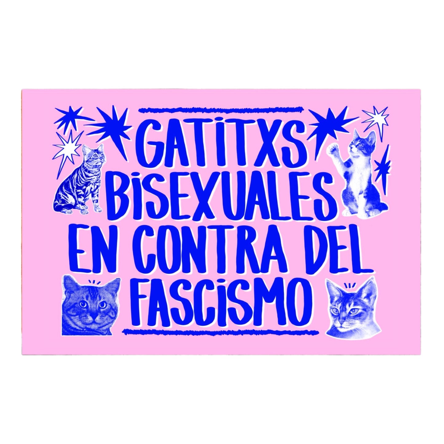 Bandera GATITXS BISEXUALES