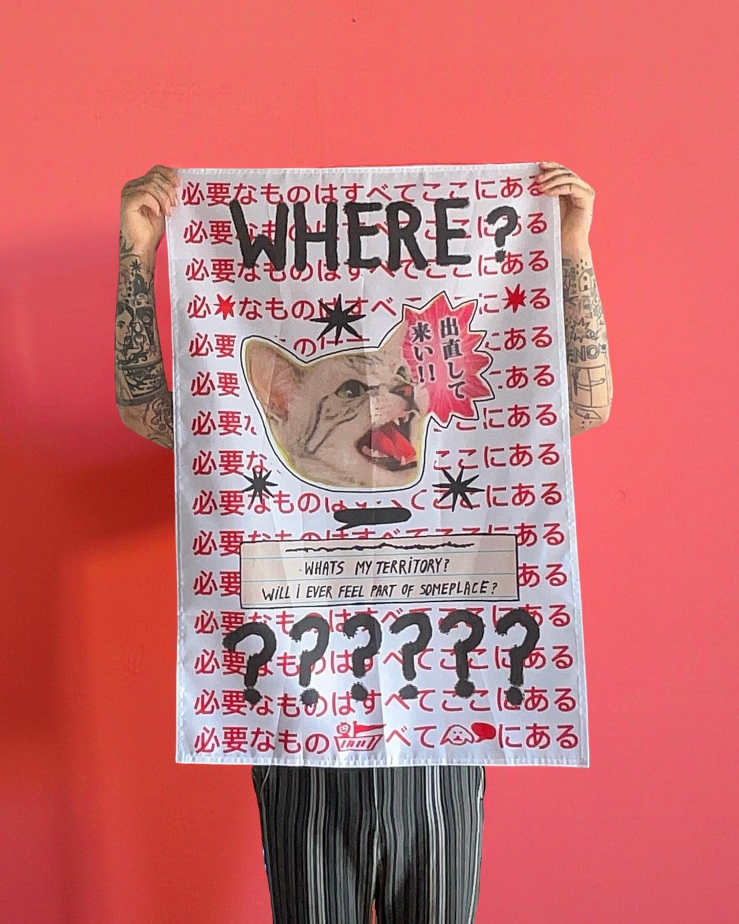 bandera WHERE (gato)