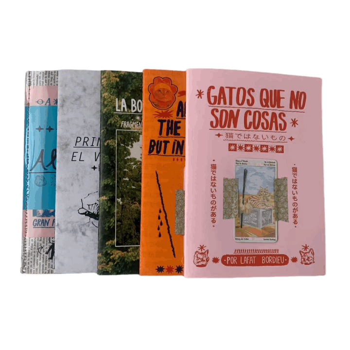 PACK fanzines (6 ejemplares)