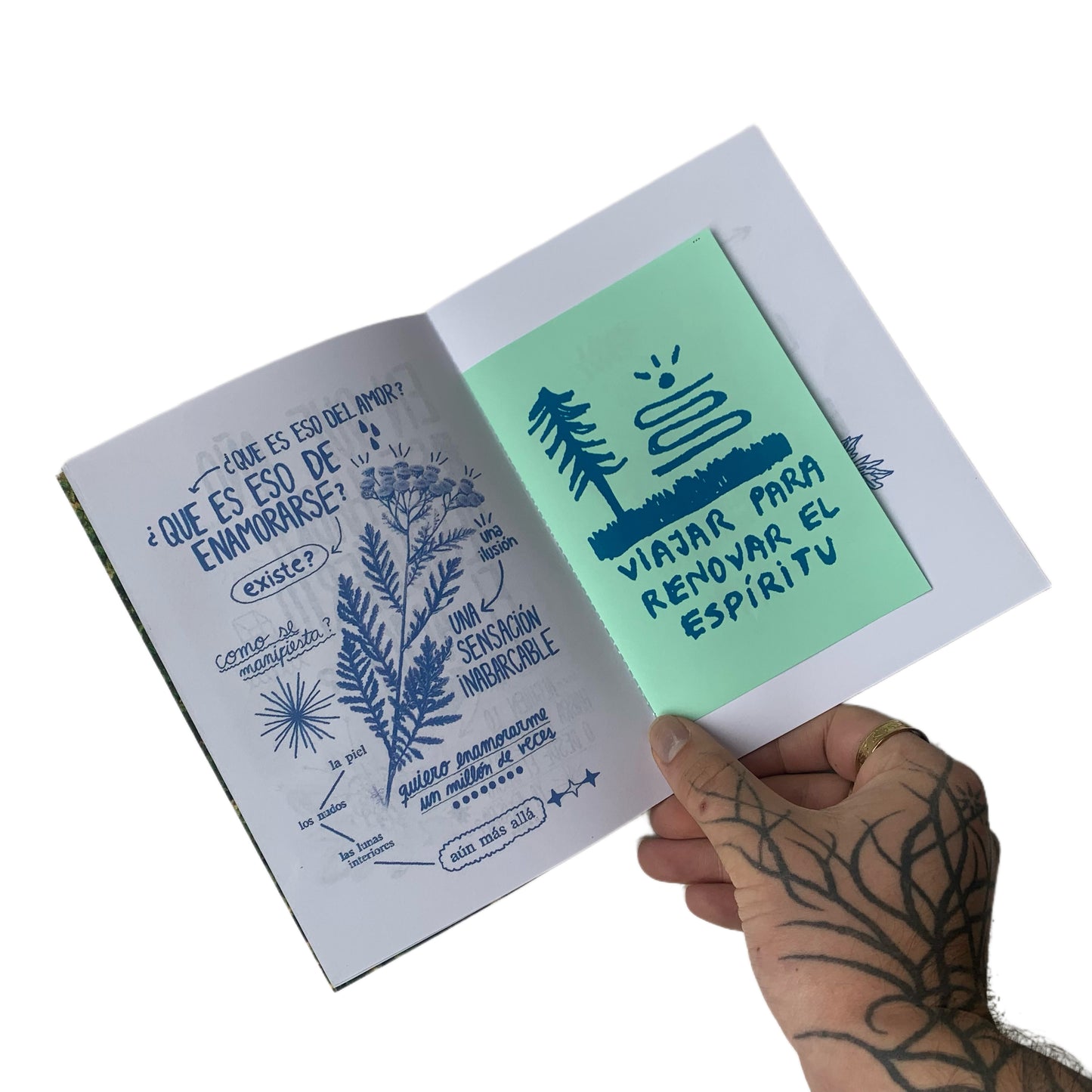PACK fanzines (6 ejemplares)