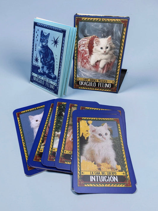 oráculo felino