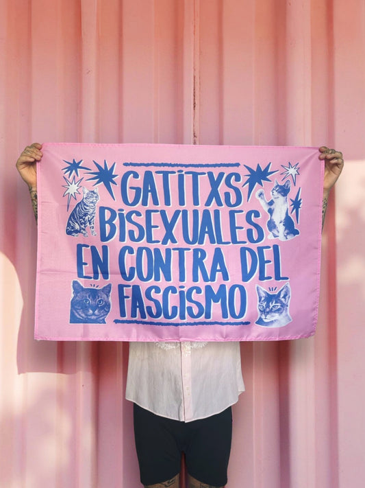 Bandera GATITXS BISEXUALES
